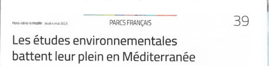 Les études environnementales battent leur plein en Méditerranée
